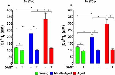 Memory and Learning Deficits Are Associated With Ca2+ Dyshomeostasis in Normal Aging